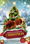 Project: Puppies For Christmas - Project: Puppies For Christmas - DVD