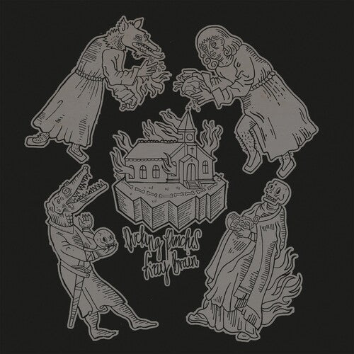 Ducking Punches - Fizzy Brain - Vinyl Record