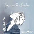 Walsh,james - Tiger On The Bridge - Music CD