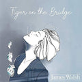 Walsh,james - Tiger On The Bridge - Vinyl Record