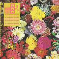 Ra Ra Riot - Superbloom - Vinyl Record