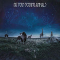 Pattern-seeking Animals - Pattern-seeking Animals - Vinyl Record