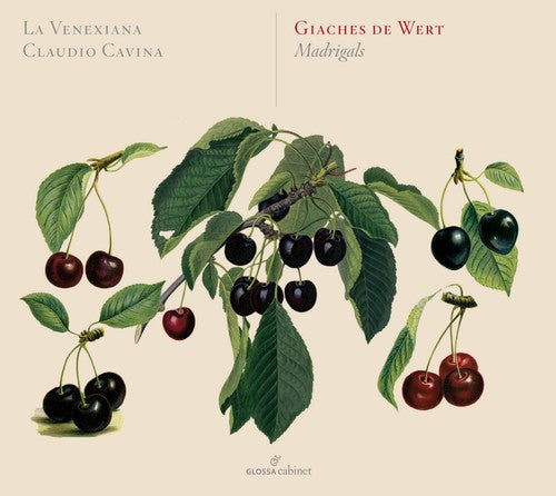 Wert / La Venexiana / Cavina - Madrigali - Music CD