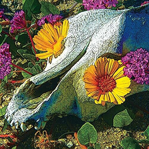 Dali's Llama - Mercury Sea - Music CD