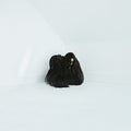 Wolfe,chelsea - Hiss Spun - Music CD