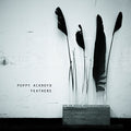 Ackroyd,poppy - Feathers - Vinyl Record