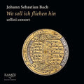 Bach,j.s. / Cellini Consort - Wo Soll Ich Fliehen Hin - Music CD