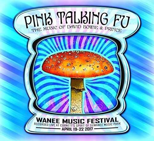 Pink Talking Fu - Live At Wanee 2017 - Music CD
