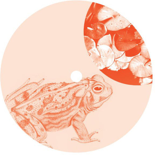 Shepheard,jay - Bullfrogging - Vinyl Record