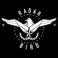 Radar Bird - Homesick - Vinyl Record