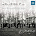 Voces Musicales / Puderbaugh - Black Birch In Winter - Music CD