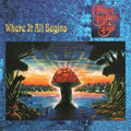 Allman Brothers - Where It All Begins - Vinyl Record