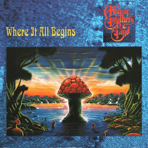 Allman Brothers - Where It All Begins - Vinyl Record