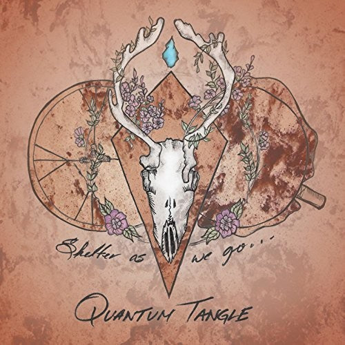 Quantum Tangle - Shelter As We Go - Music CD