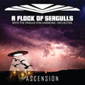 Flock Of Seagulls - Ascension - Music CD