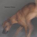 Fixmer,terence - Force - Vinyl Record