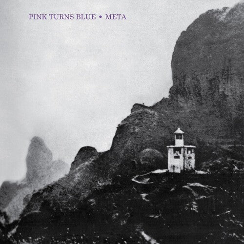 Pink Turns Blue - Meta (reissue) - Vinyl Record