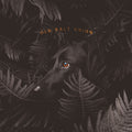 Old Salt Union - Where The Dogs Don't Bite - Music CD