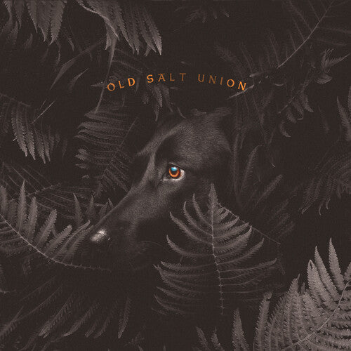 Old Salt Union - Where The Dogs Don't Bite - Music CD