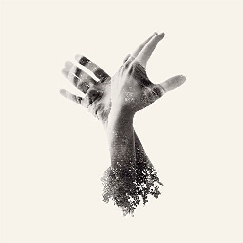 Last Dinosaur - Nothing - Music CD