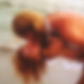 Special Request - Bedroom Tapes - Music CD