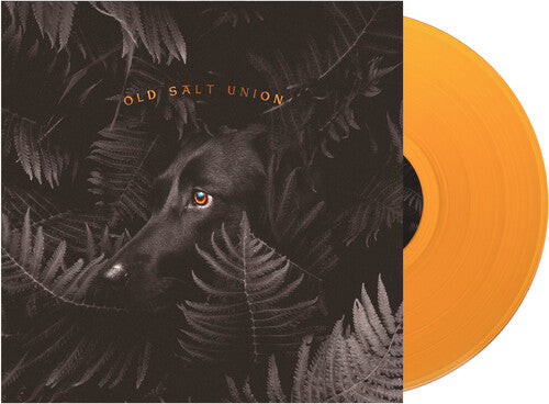 Old Salt Union - Where The Dogs Don't Bite - Vinyl Record