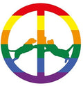 Hype Williams - Rainbow Edition - Vinyl Record