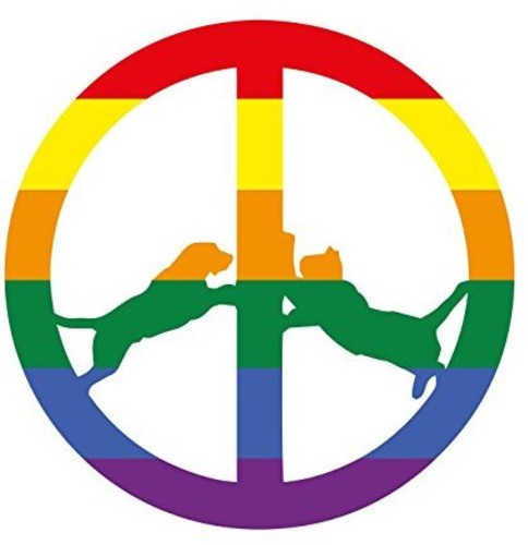 Hype Williams - Rainbow Edition - Vinyl Record