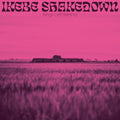 Kings Left Behind [LP] Vinyl Record