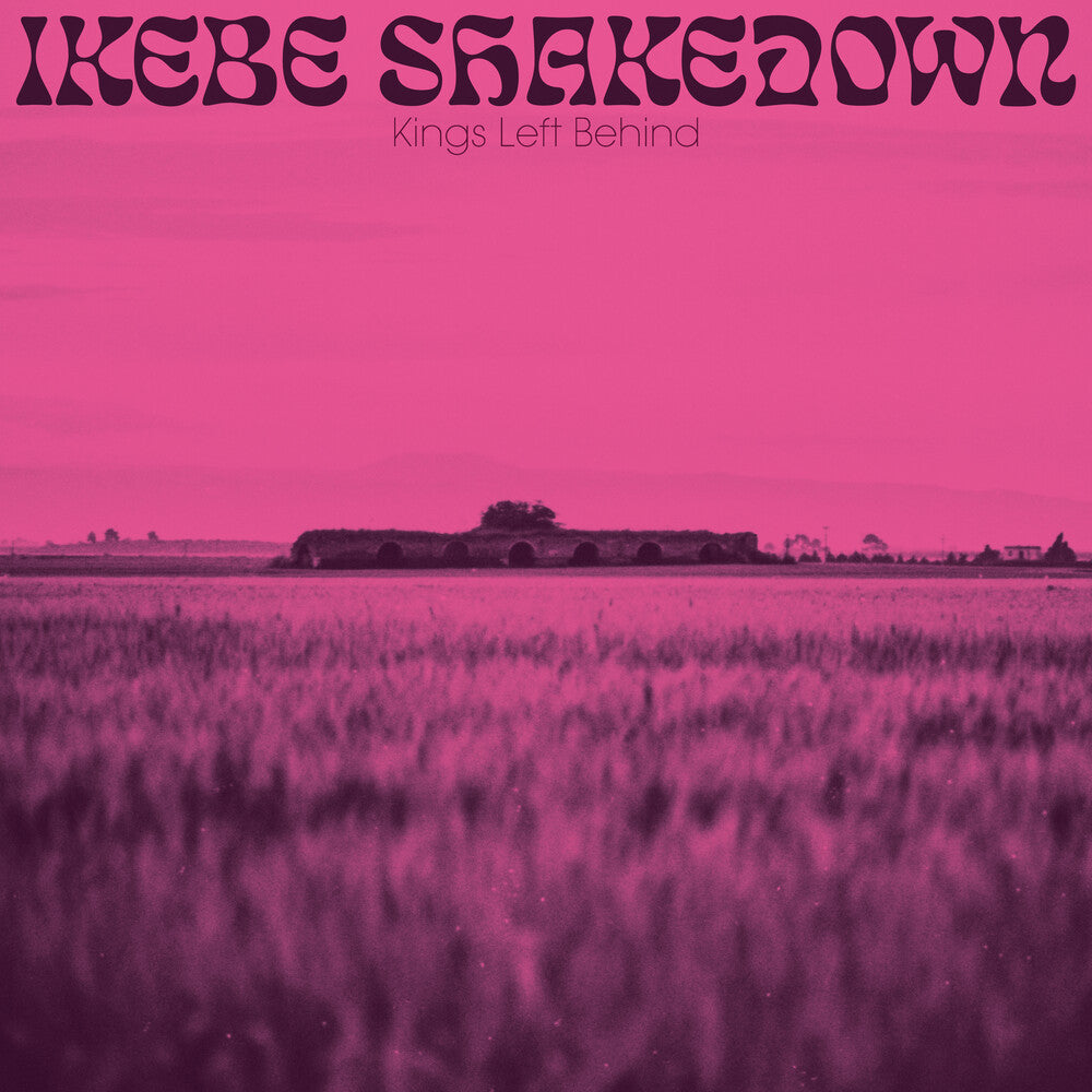 Kings Left Behind [LP] Vinyl Record