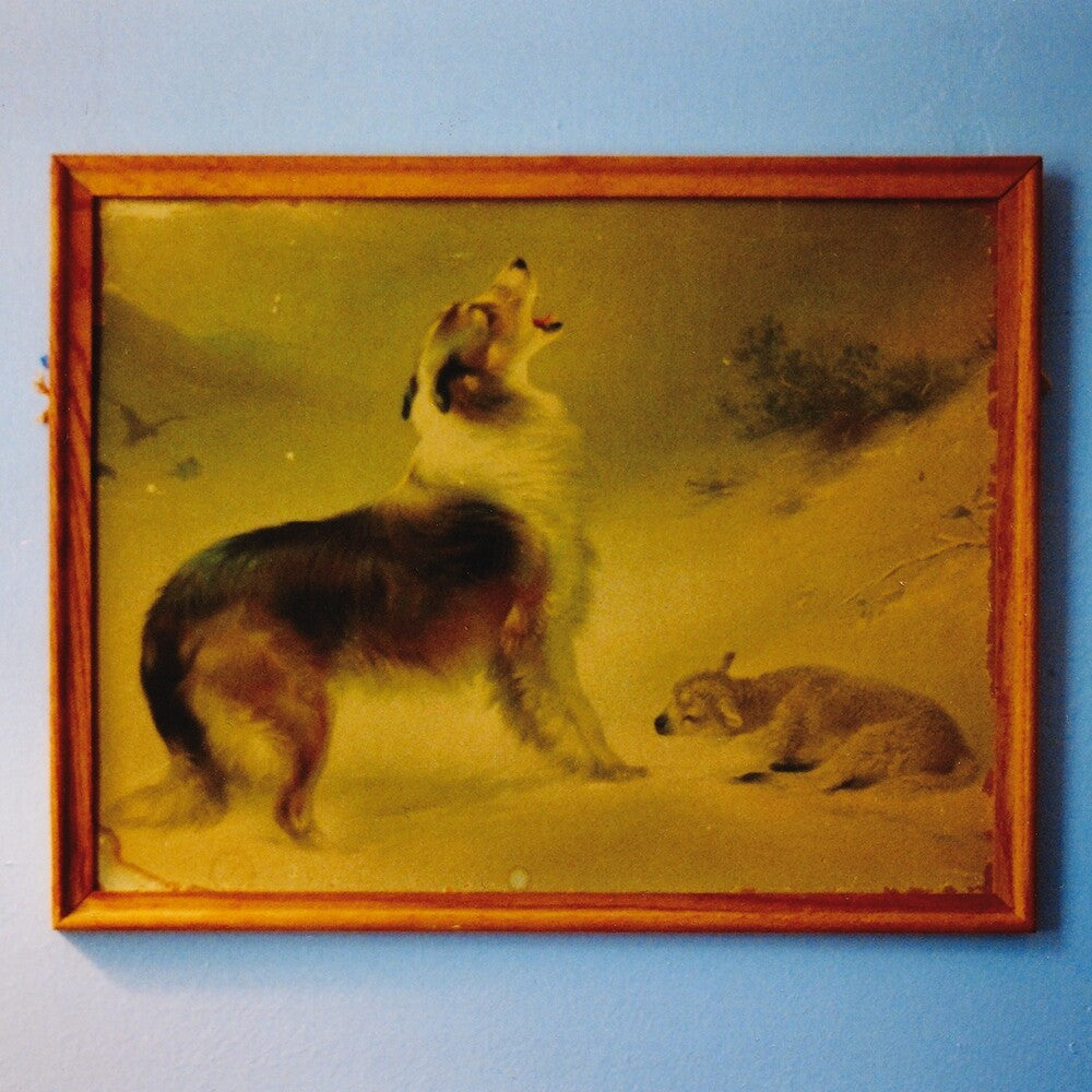 'The Rescue (Anniversary Edition)' [LP] Vinyl Record