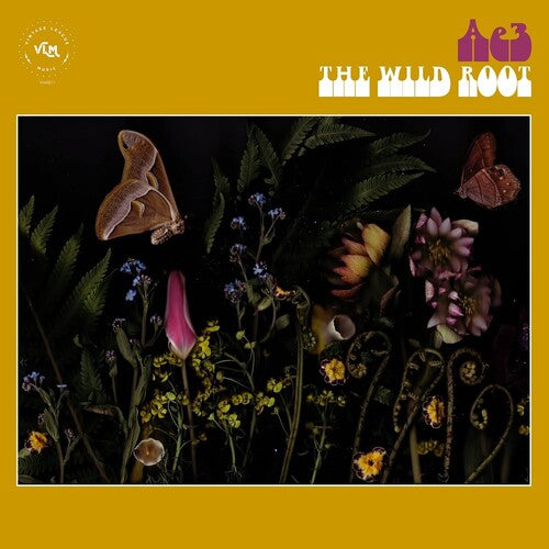 Ae3 (alan Evans Trio) - Wild Root - Music CD