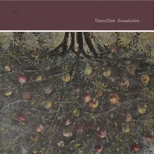 Unicazurn - Sensudestricto - Vinyl Record