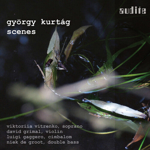 Kurtag / Vitrenko / Gaggero - Scenes - Music CD