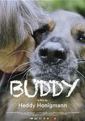 Buddy - Buddy - DVD