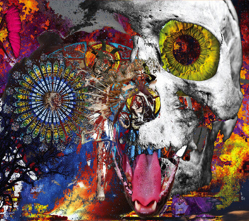 I Feel Like A Bombed Cathedral - I Feel Like A Bombed Cathedral - Music CD