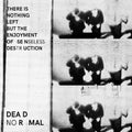 Dead Normal - Nothing Left But Enjoyment Senseless Destruction - Vinyl Record