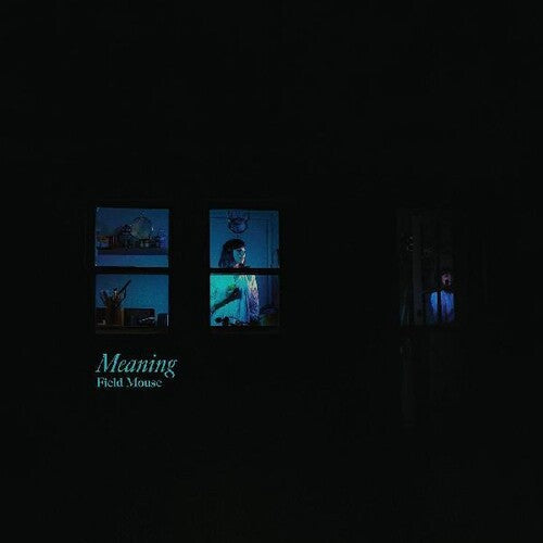 Field Mouse - Meaning - Music CD
