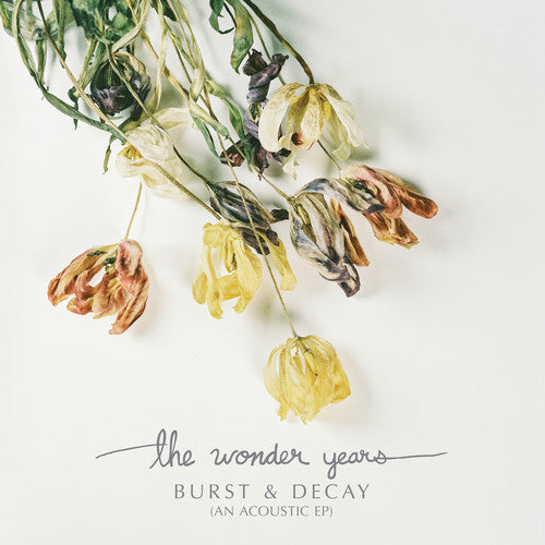 Wonder Years - Burst & Decay - Vinyl Record