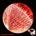 Architects Of Existence - Architects Of Existence - Music CD