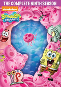Spongebob Squarepants: The Complete Ninth Season - Spongebob Squarepants: The Complete Ninth Season - DVD