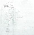 Bosaina - New York April-july 2013 / Two Names Upon Shore - Vinyl Record