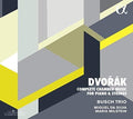 Dvorak / Busch Trio / Silva - Complete Chamber Piano & Strin - Music CD