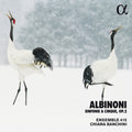 Albinoni / Banchini / Ensemble 415 - Sinfonie A Cinque 2 - Music CD