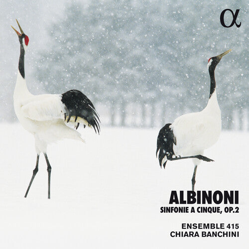 Albinoni / Banchini / Ensemble 415 - Sinfonie A Cinque 2 - Music CD