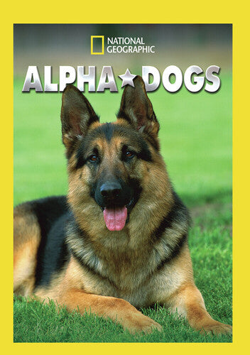 Alpha Dogs - Alpha Dogs - DVD