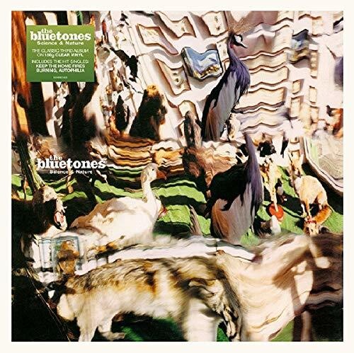 Bluetones - Science & Nature - Vinyl Record
