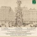 Orchestra Da Camera Di Mantova / Carnelli - Symphony & Its Consequences - Music CD