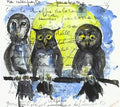 Barbagianna's / Ducoli,alessandro - Gufi Allocchi Barbagianne E Altre Giovani Streghe - Music CD