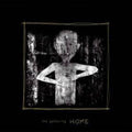 Gathering - Home - Vinyl Record